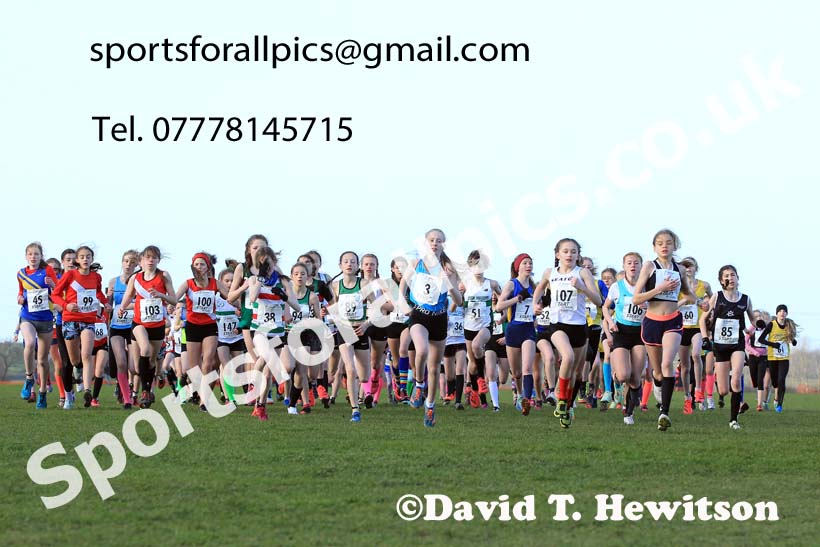 Girls under-13s 2022 Northern Cross Country Champs., Pontefract. Photo: David T. Hewitson/Sports for All Pics